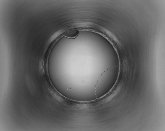 X0000116100970200911231122