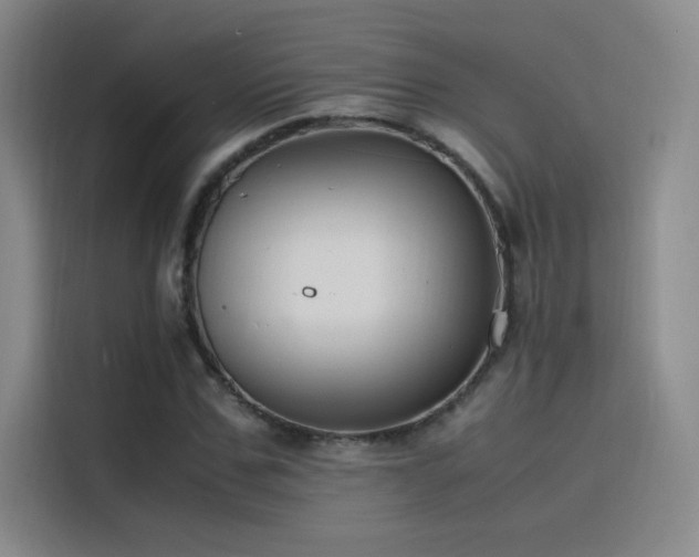 X0000116100971200911231122