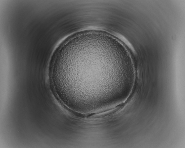 X0000116100972200911231122