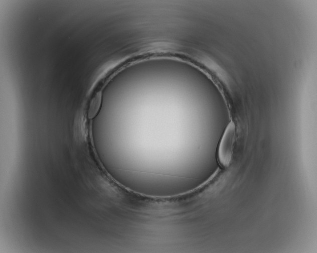 X0000116100973200911231122