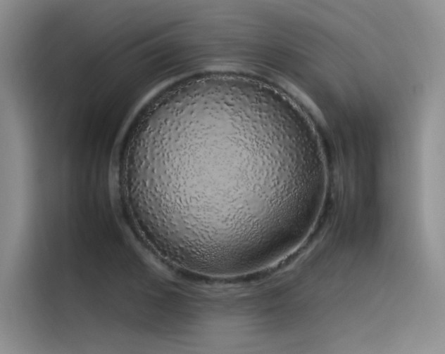 X0000116100976200911231122
