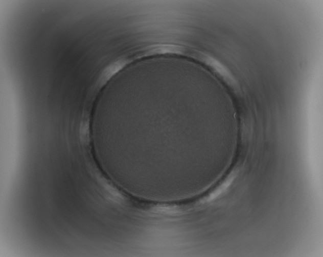 X0000116100977200911231122