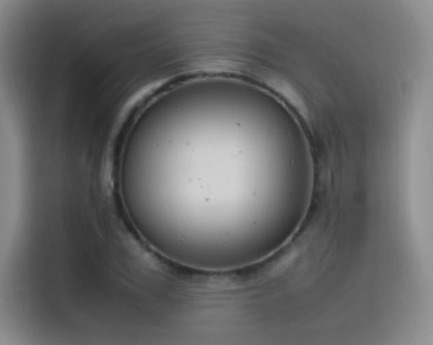 X0000116100979200911231122
