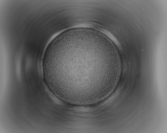 X0000116100980200911231122
