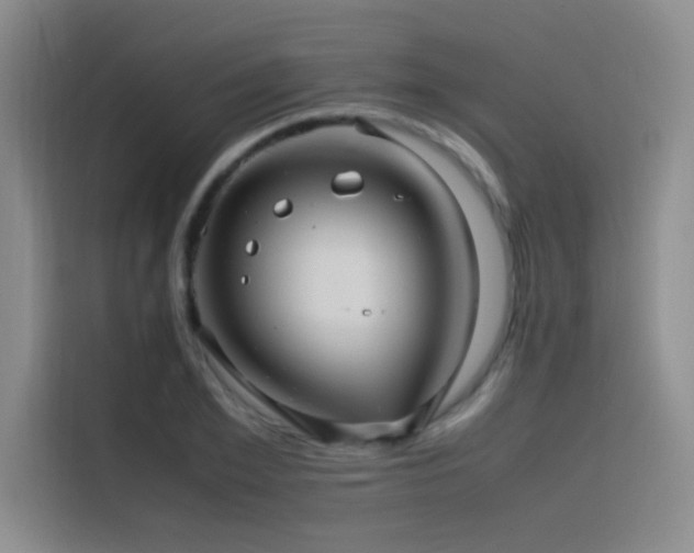 X0000116100981200911231122