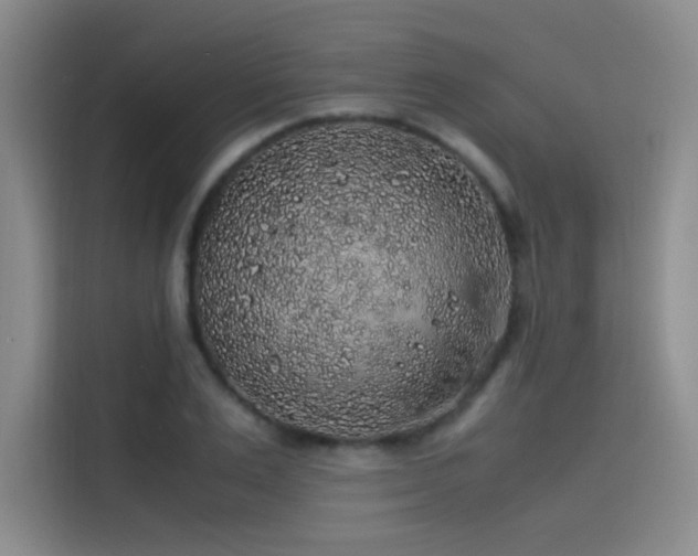 X0000116100983200911231122