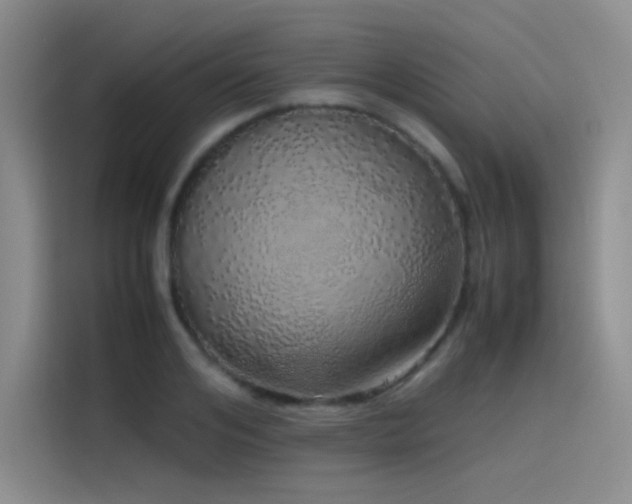 X0000116100984200911231122