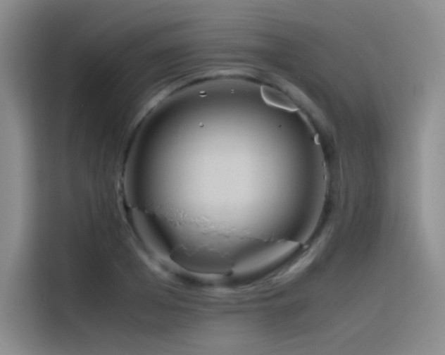 X0000116100985200911231122