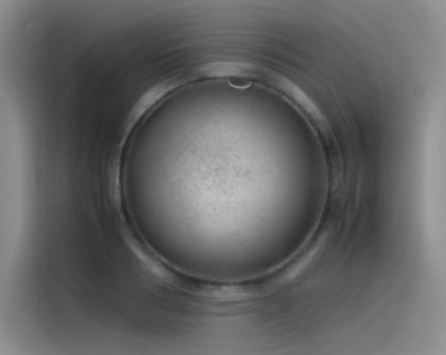 X0000116100986200911231122