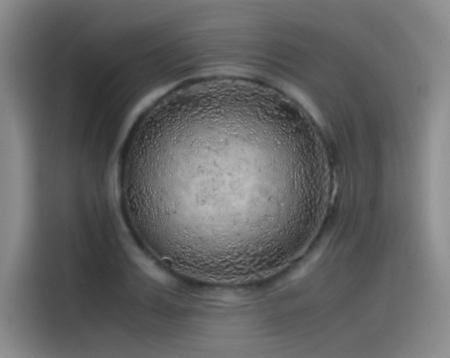 X0000116100987200911231122