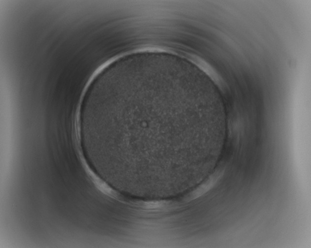 X0000116100988200911231122