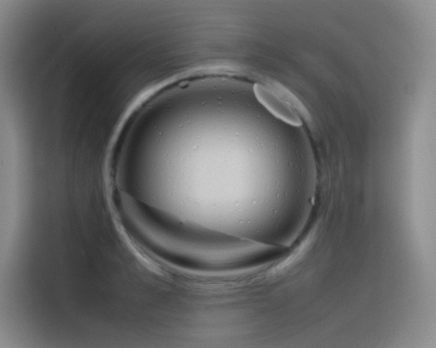 X0000116100989200911231122