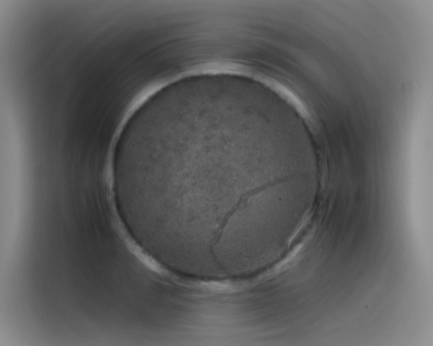 X0000116100990200911231122