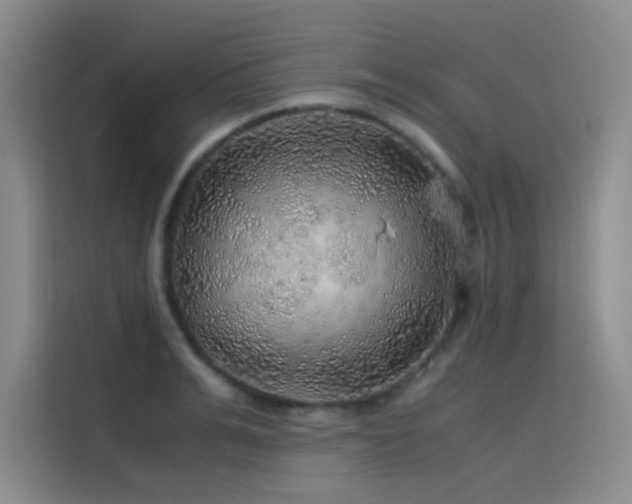X0000116100991200911231122