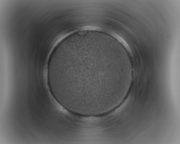 X0000116100992200911231122