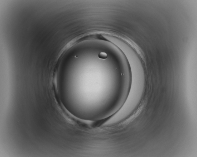 X0000116100993200911231122