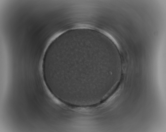 X0000116100995200911231122