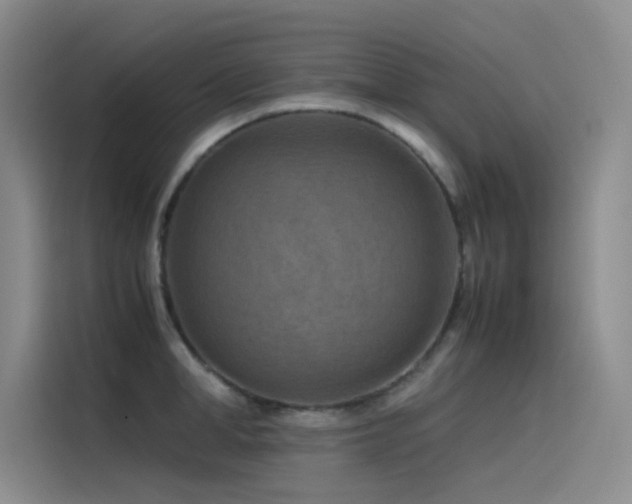 X0000116100998200911231122
