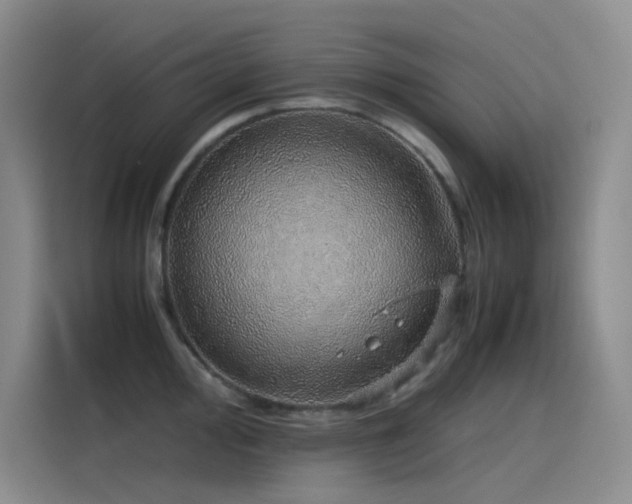 X0000116101000200911231122