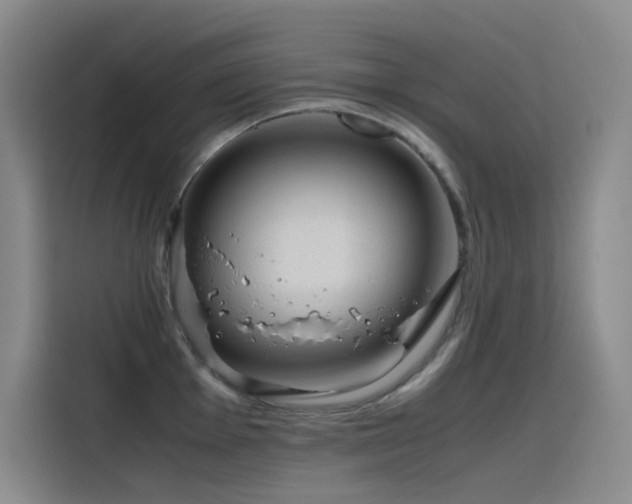 X0000116101001200911231122