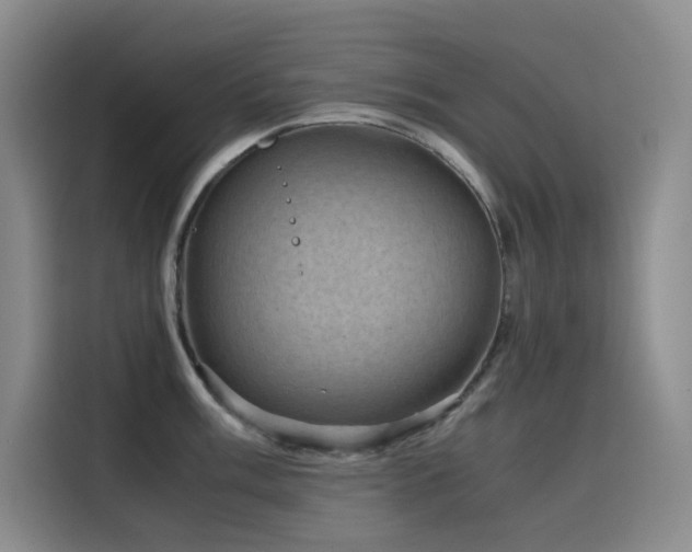 X0000116101003200911231122