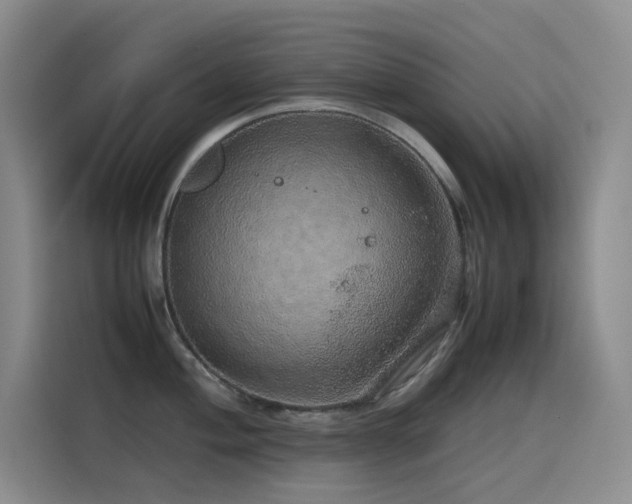 X0000116101004200911231122