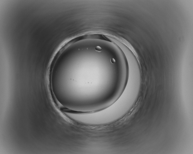 X0000116101005200911231122