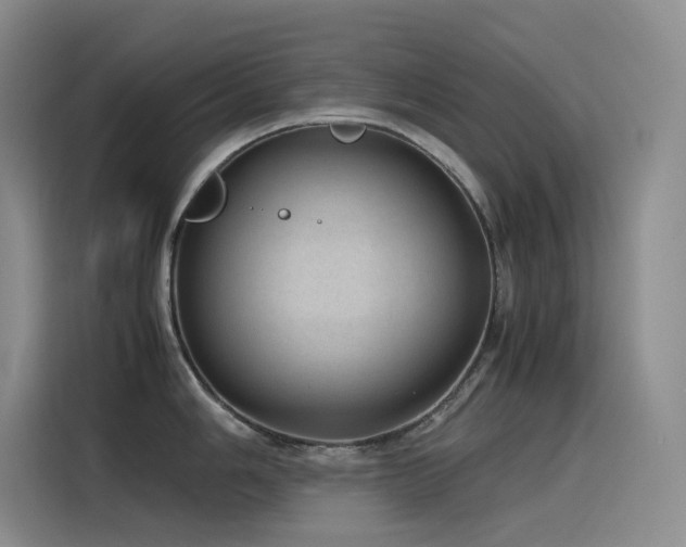 X0000116101006200911231122