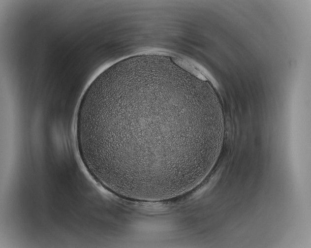 X0000116101007200911231122
