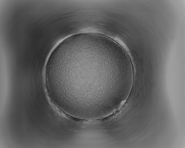 X0000116101008200911231122