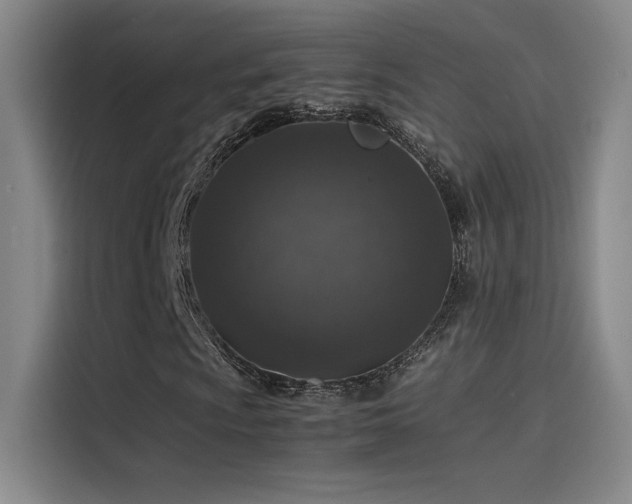 X0000116101009200911231121