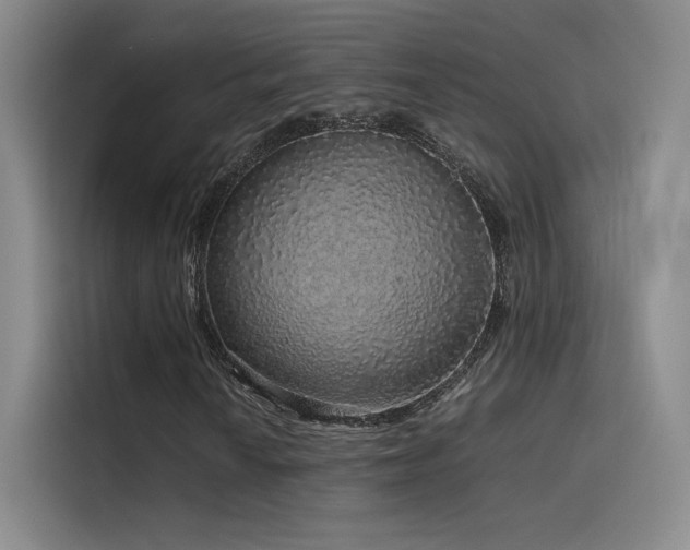 X0000116101010200911231121