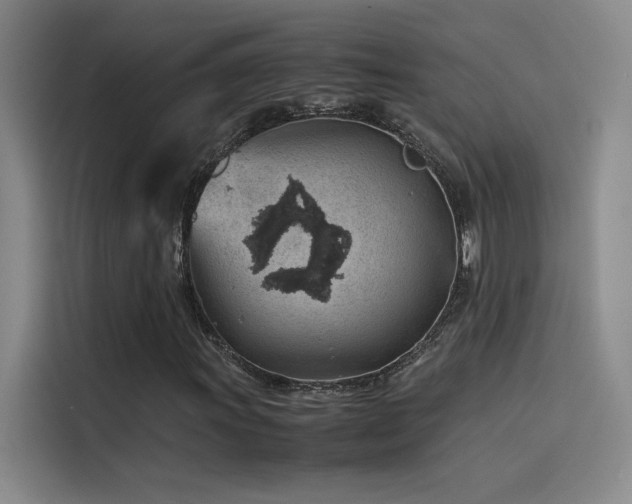 X0000116101011200911231121