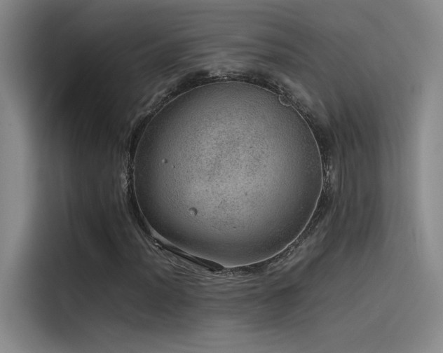 X0000116101012200911231121