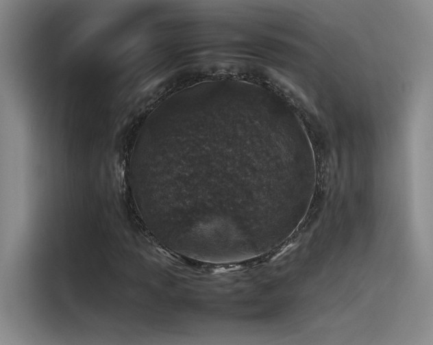 X0000116101013200911231121