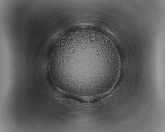 X0000116101014200911231121