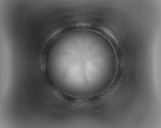 X0000116101015200911231121