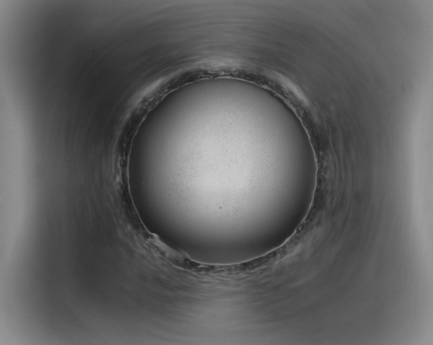 X0000116101016200911231121