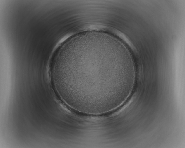 X0000116101018200911231121