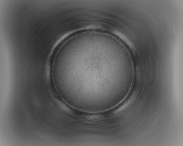 X0000116101021200911231121