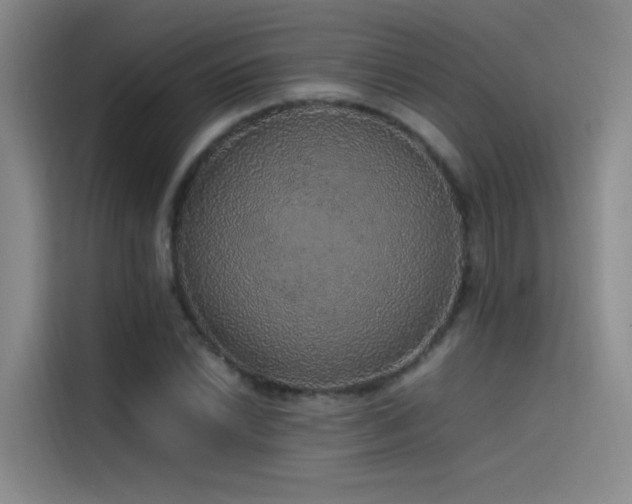 X0000116101022200911231121