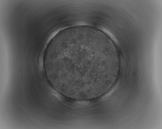 X0000116101023200911231121