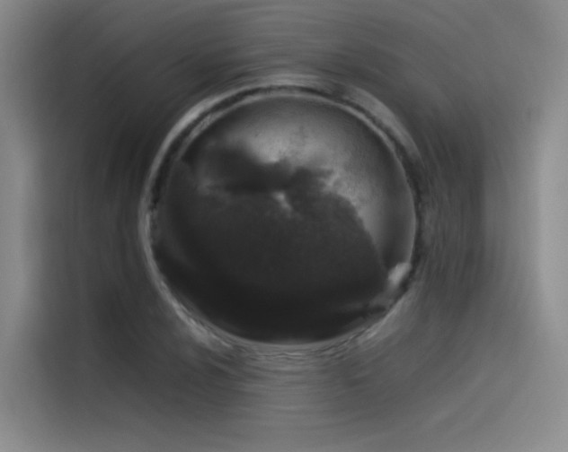 X0000116101024200911231121