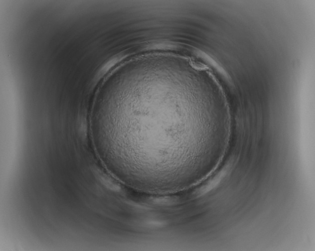 X0000116101025200911231121
