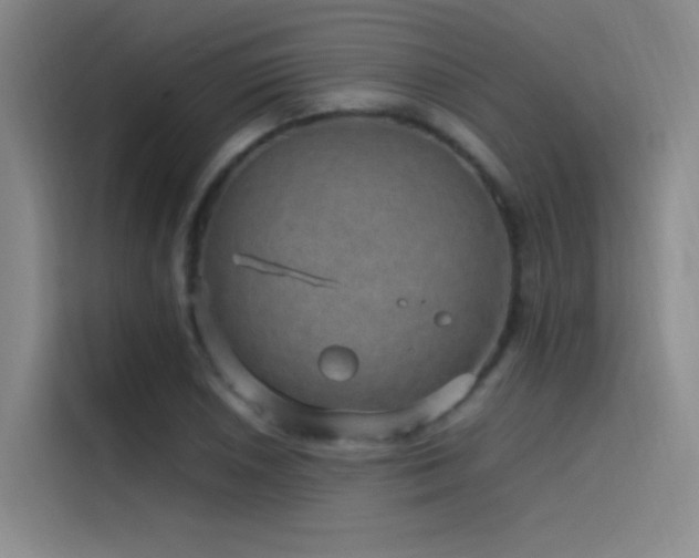 X0000116101026200911231121