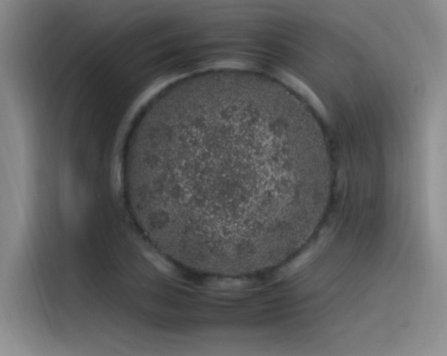 X0000116101027200911231121