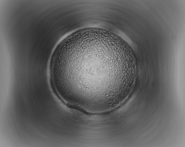 X0000116101028200911231121