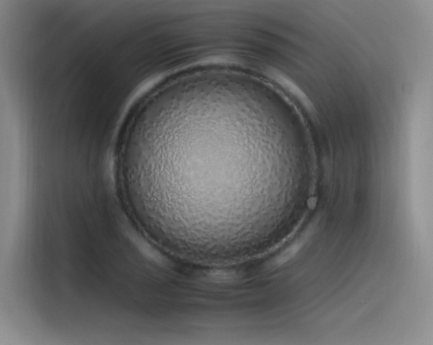X0000116101029200911231121