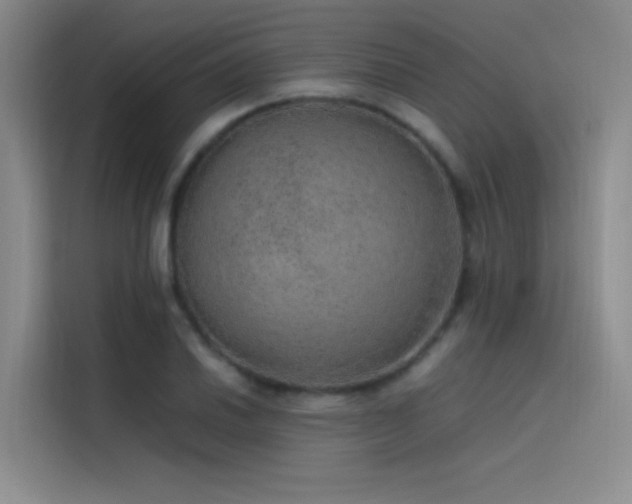 X0000116101030200911231121