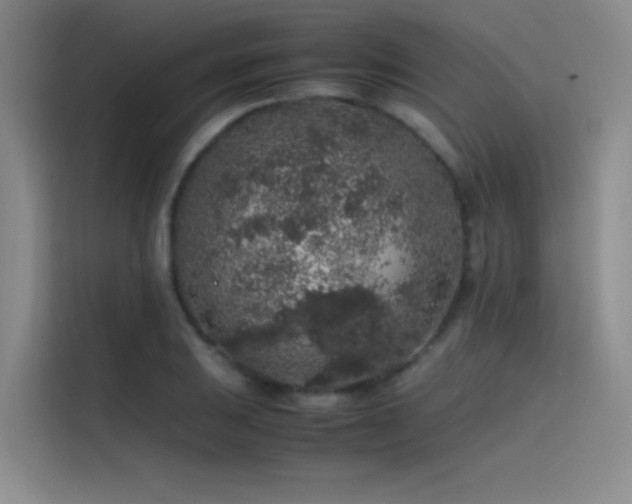 X0000116101031200911231121